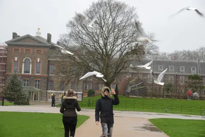 DSC_6211 (Large).JPG